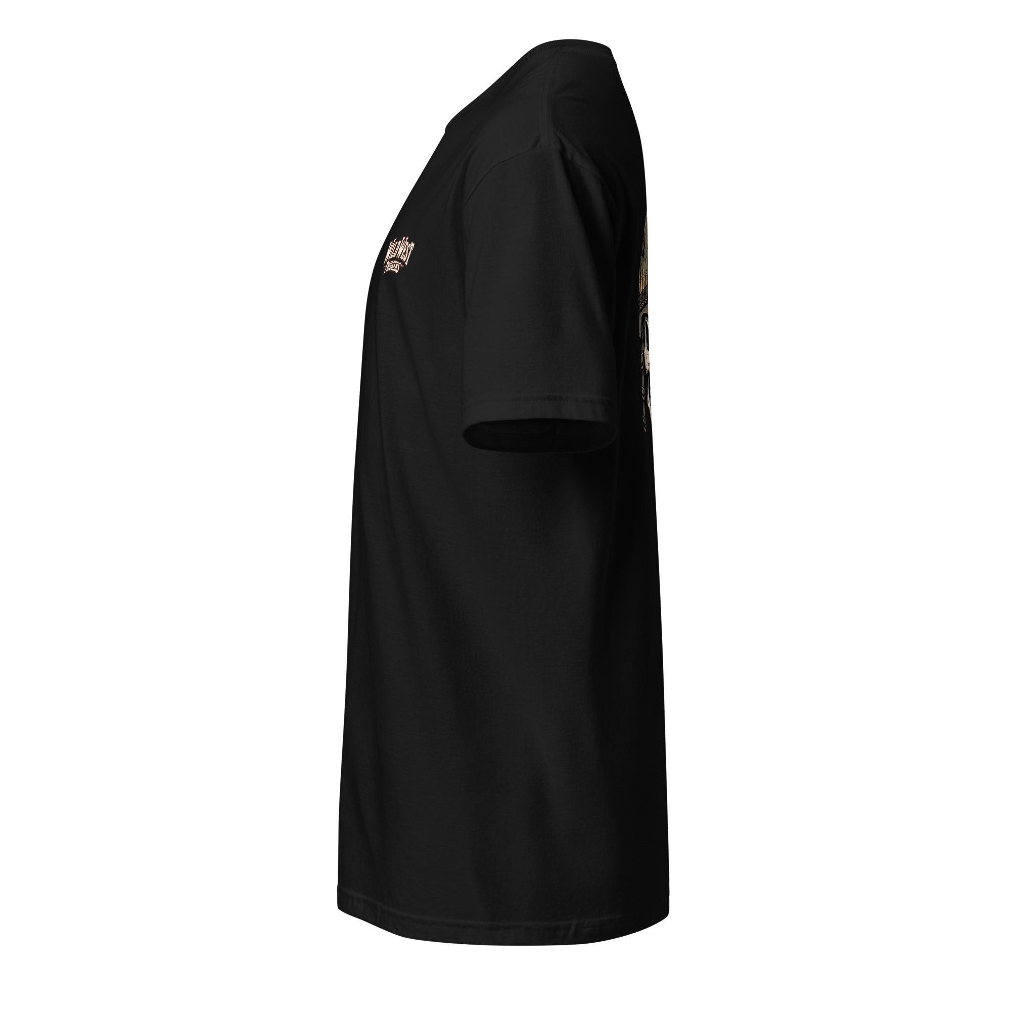 WWT Front - Skull no text back-Flag Sleeve - Image 5
